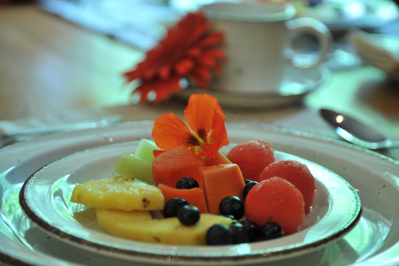 Claires Of Sandton Luxury Guest House Johannesburg Kültér fotó